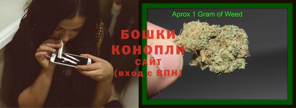 шишки Беломорск