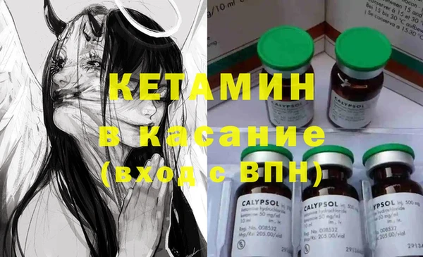 шишки Беломорск