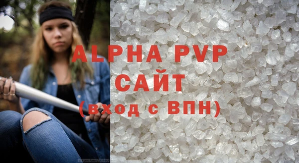 шишки Беломорск
