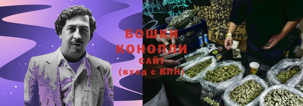 шишки Беломорск
