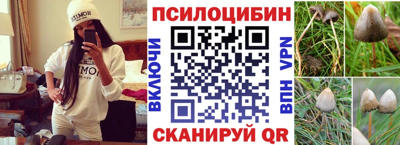хочу   Нижний Новгород  Псилоцибиновые грибы прущие грибы 