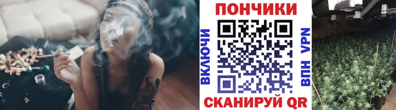 дарк нет состав  Нижний Новгород  Каннабис план  сколько стоит 